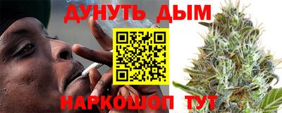 сатива Тверь