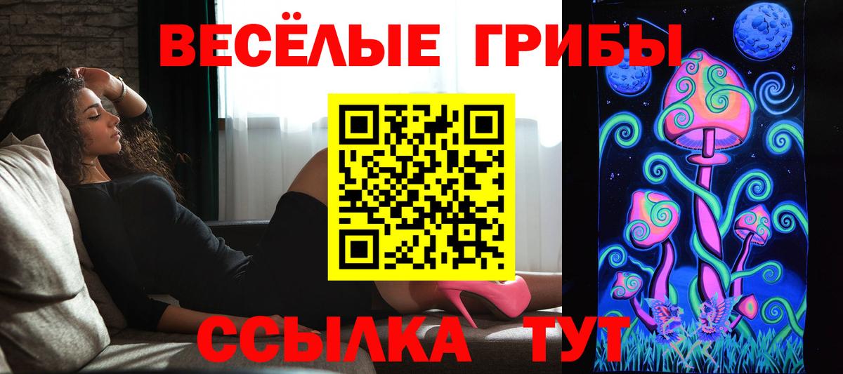 Псилоцибиновые грибы Psilocybe  купить наркоту  Малоярославец  Вход с VPN 